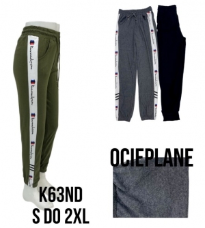 Spodnie dresowe damskie ocieplane (S-2XL) DN16095