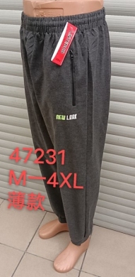 Spodnie dresowe męskie (M-4XL) TPA5507