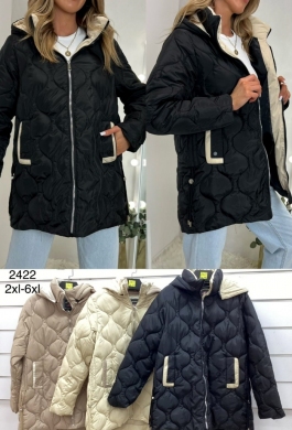 Kurtka damska jesienna (2XL-6XL) DH11946