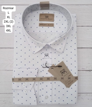 Koszule męskie na długi rękaw - Tureckie (L-4XL) DH16034
