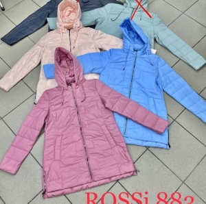 Kurtka damska jesienna (XL-6XL) DH13297