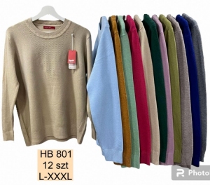 Sweter damski (L-3XL) DH1406