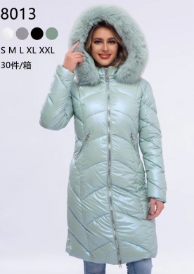 Kurtka damska zimowa (S-2XL) NG2853