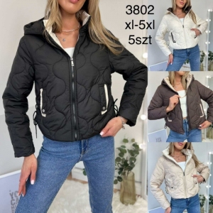 Kurtka damska jesienna (XL-5XL) DH12370