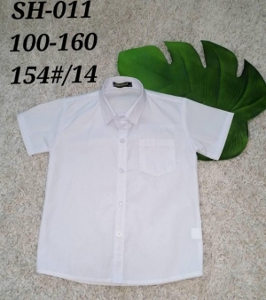 Koszule chłopięce na krótki rękaw (100-160) TP3227