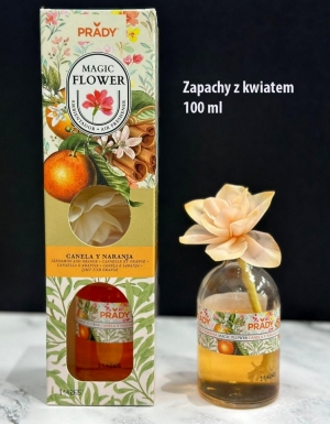 Zapachy do domu (100ml) DH7152