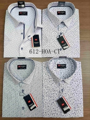 Koszule męskie na krótki rękaw (M-3XL) DH14517