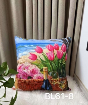 Poszewki (40x40) NG266