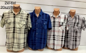 Koszule męskie na krótki rękaw (2XL-6XL) DH11944