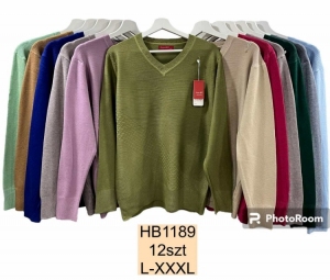 Sweter damski (L-3XL) DH1407