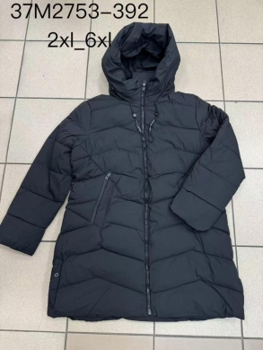Kurtka damska jesienna (2XL-6XL) NG1493