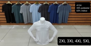 T-shirt męskie krótki rękaw - Tureckie (2XL-5XL) TP18298