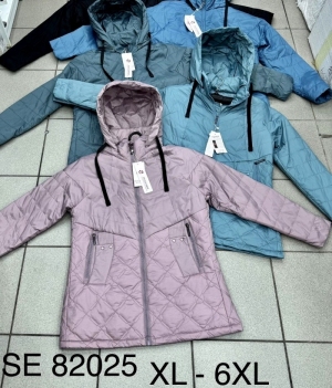 Kurtka damska jesienna (XL-6XL) DH13252