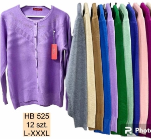 Sweter damski (L-3XL) DH2780