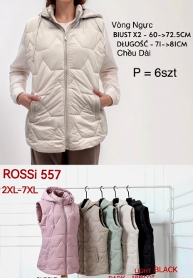 Kurtka damska jesienna (2XL-7XL) DH13255