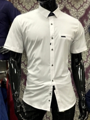 Koszule męskie na krótki rękaw - Tureckie (M-3XL) TP7273