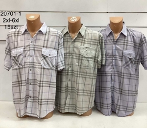 T-shirt męskie na krótki rękaw (2XL-6XL) DH12380