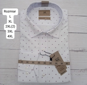Koszule męskie na długi rękaw - Tureckie (L-4XL) DH16017