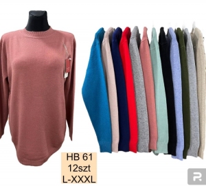 Sweter damski (L-3XL) DH2767