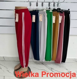 Spodnie dresowe damskie (2XL-6XL) DH131850