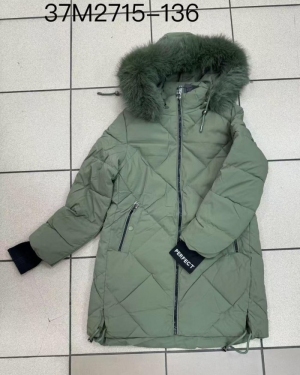 Kurtka damska zimowa (S-XL) NG2756