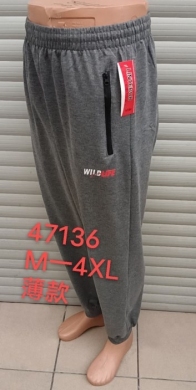 Spodnie dresowe męskie (M-4XL) TPA5491