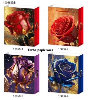 Torba papierowa DH8970