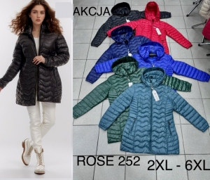Kurtka damska jesienna (2XL-6XL) DH13253