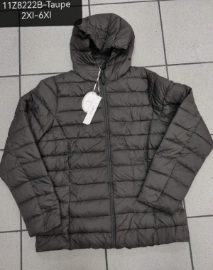Kurtka damska jesienna (2XL-6XL) NG1455