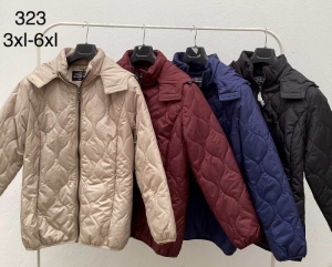 Kurtka damska jesienna (3XL-6XL) DH12371