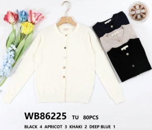 Sweter damski (Standard) NG1091
