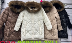 Kurtka damska zimowa (M-3XL) DH5192