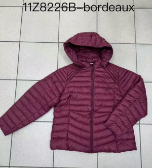 Kurtka damska jesienna (2XL-5XL) NG1438