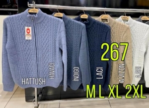 Swetry męskie - Tureckie (M-2XL) TP28086
