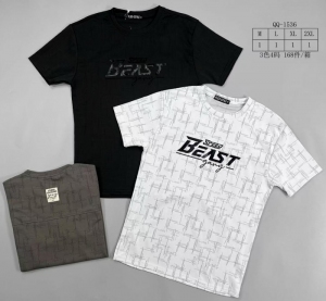 T-shirt męskie na krótki rękaw (M-2XL) DH14968