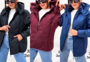 Kurtka damska jesienna (3XL-7XL) DH12365