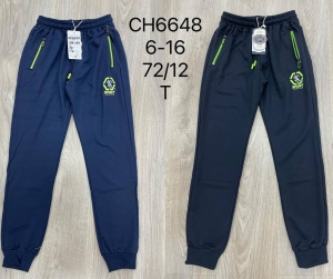 Spodnie dresowe chłopięce (6-16) TP9813