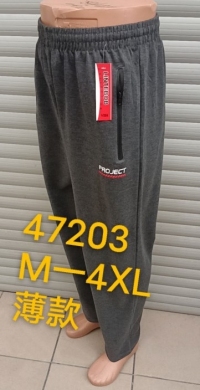 Spodnie dresowe męskie (M-4XL) TPA5474