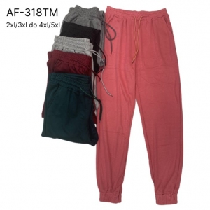 Spodnie dresowe damskie (2XL-5XL) TP3063
