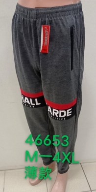 Spodnie dresowe męskie (M-4XL) TP5205