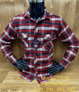 Koszule męskie na długi rękaw - Tureckie (L-4XL) TPA3581