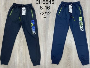 Spodnie dresowe chłopięce (6-16) TP9812