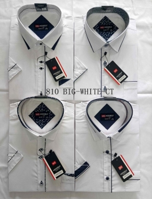 Koszule męskie na krótki rękaw (3/4XL-7/8XL) DH14570