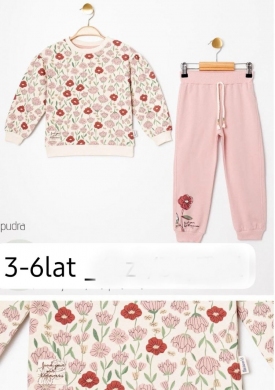 Komplet dziewczęce na długi rękaw (3-6lat) DH8095