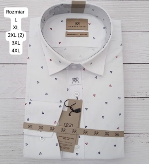 Koszule męskie na długi rękaw - Tureckie (L-4XL) DH15965