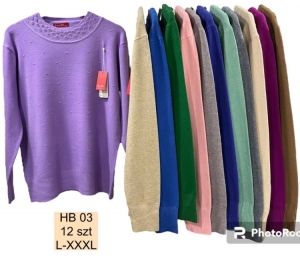 Sweter damski (L-3XL) DH1425
