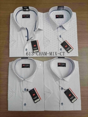 Koszule męskie na krótki rękaw (39/40-46/47) TP8055