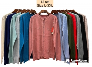 Sweter damski (L-3XL) DH1413