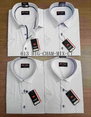 Koszule męskie na krótki rękaw (3/4XL-7/8XL) DH14575