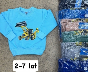 Bluzy chłopięce (2-7lat) NG478